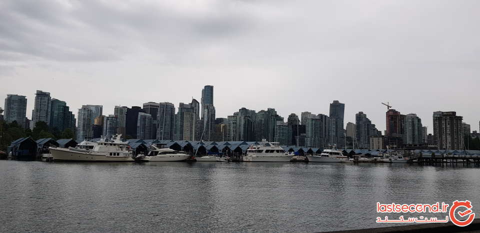 20190812_053242.jpg