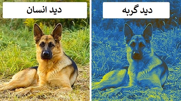 چند حقیقت شگفت انگیز درباره دنیا که نگاه تان به جهان هستی را زیر و رو می کند