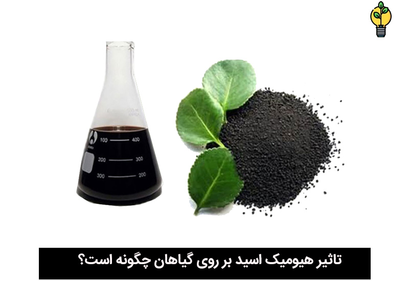 کود هیومیک اسید برای چه گیاهانی مناسب است