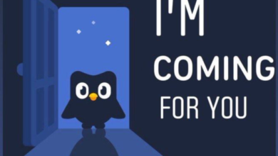 هوش مصنوعی باعث اخراج ۱۰ درصد از مترجمان Duolingo شد