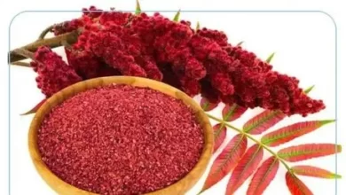 خواص سماق: ۴ خاصیت اثبات شده برای سلامتی