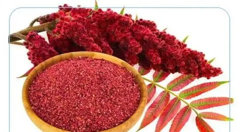 خواص سماق: ۴ خاصیت اثبات شده برای سلامتی 1 خواص سماق: ۴ خاصیت اثبات شده برای سلامتی
