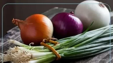 خواص پیاز: ۹ خاصیت اثبات شده علمی