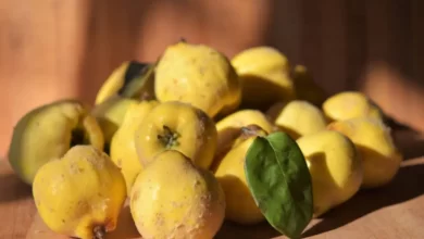 خواص این میوه شگفت انگیز را بشناسید