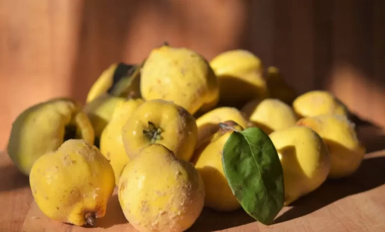 خواص این میوه شگفت انگیز را بشناسید