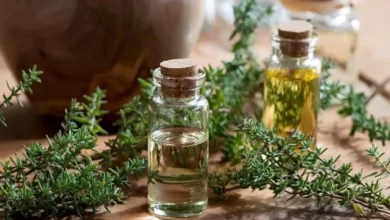 گیاه پادشاهی که قاتل مستقیم افسردگی ، عصبانیت ، فشار خون و چربی خون و بی خوابی است