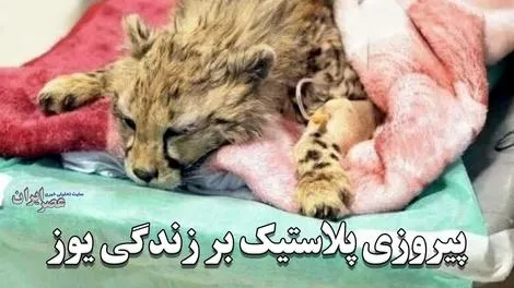 چه چیز باعث مرگ فرزند ایران شد؟ 1 چه چیز باعث مرگ فرزند ایران شد؟