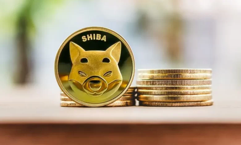 پیش بینی قیمت شیبا اینو تا پایان سال ۲۰۲۴ توسط هوش مصنوعی گوگل