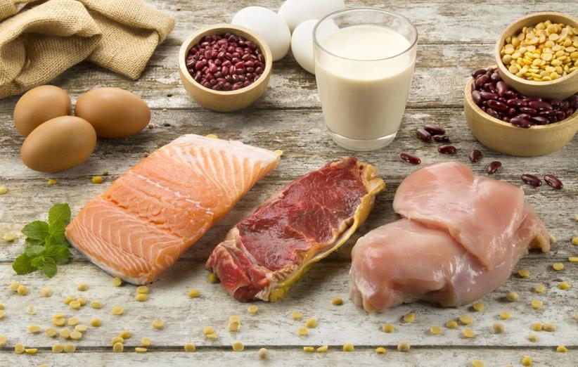 پروتئین حیوانی برای رفع خستگی روزانه