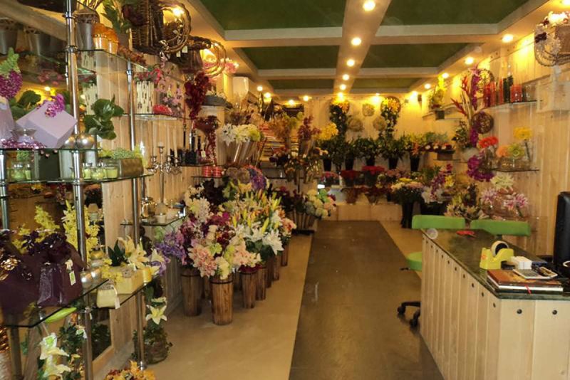 فرانچایز Grower Direct کانادا