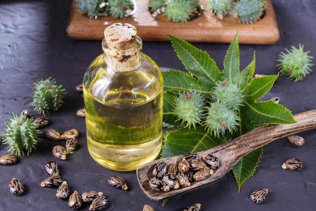 روشی نوین برای تولید دیزل زیستی از روغن کرچک 1 روشی نوین برای تولید دیزل زیستی از روغن کرچک