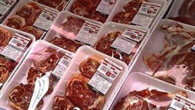 رنگدانه پوست بادمجان، حسگر طبیعی فساد گوشت!