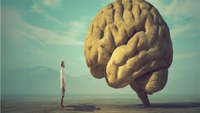 یک پیشرفت بزرگ در درک «خودآگاهی»