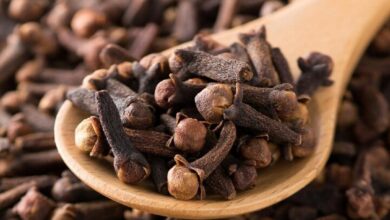 مزایای مصرف روزانه میخک چیست؟