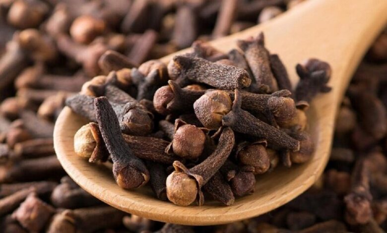 مزایای مصرف روزانه میخک چیست؟ 1 مزایای مصرف روزانه میخک چیست؟
