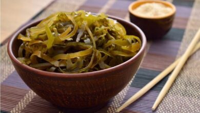 ساخت ارتشی از چربی‌خواران برای مبارزه با چاقی با یک ترکیب طبیعی