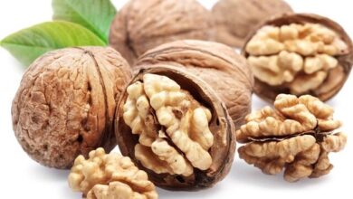 تقویت توان آنتی‌اکسیدانی بدن با «روغن گردو + تمرینات مقاومتی»