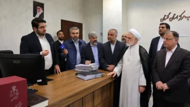 اژه‌ای: به متهم سقط‌جنین هیچ ارفاقی نشود