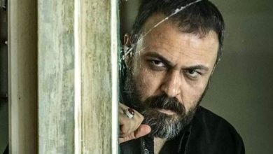 فصل جدید سریال پوست شیر/ کدام بازیگر جایگزین رضا پروانه شد؟