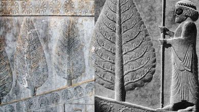 آیا آه سرو کاشمر، دامن خلیفه عباسی را گرفت؟