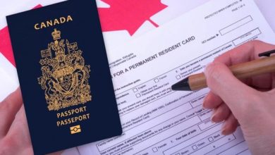 انتظار ۵۰ ساله برای مهاجرت به کانادا، وکلا و خانوادهها را شوکه کرد 5 انتظار ۵۰ ساله برای مهاجرت به کانادا، وکلا و خانوادهها را شوکه کرد