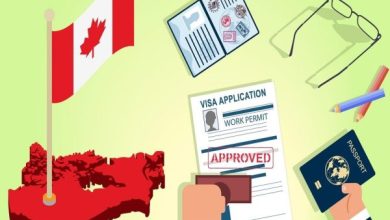 اقامت دائم از طریق برنامه استانی PNP؛ بهترین مسیر مهاجرتی کانادا