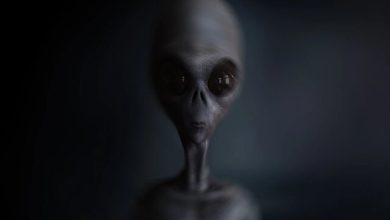 می‌گویند این ۵ بار فرازمینی‌ها مستقیما با زمین تماس گرفته‌اند