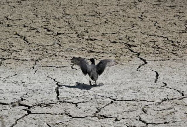 همه نگاه‌ها به آسمان!