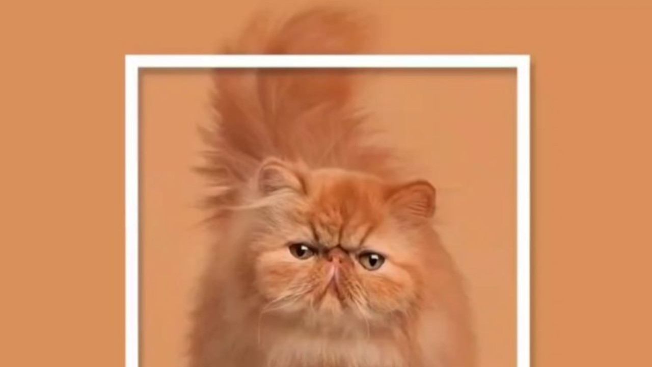 ۹ رنگی که در دنیا به نام ایران میشناسند+عکس 7 ۹ رنگی که در دنیا به نام ایران میشناسند+عکس