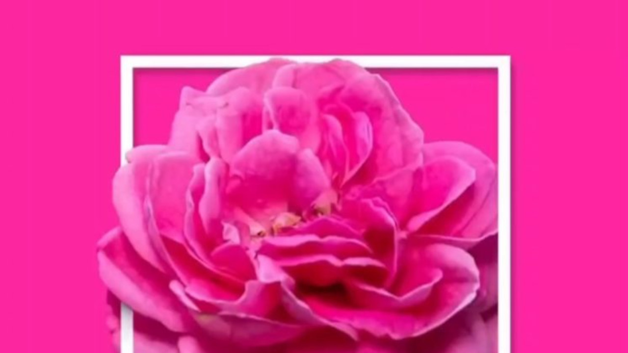 ۹ رنگی که در دنیا به نام ایران میشناسند+عکس 10 ۹ رنگی که در دنیا به نام ایران میشناسند+عکس