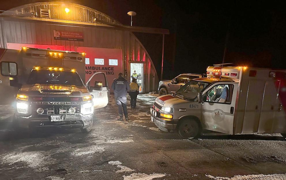 حمله خرس گریزلی به دانشآموزان: حال دو نفر وخیم است 2 درخواست کمک از اورژانس هوایی