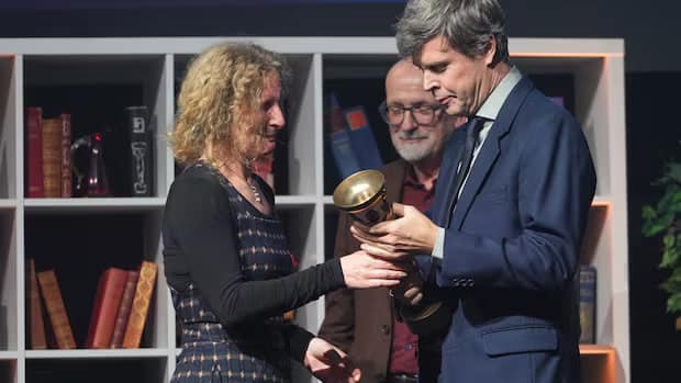 سبک مینیمالیستیِ روایت دیوید سالای