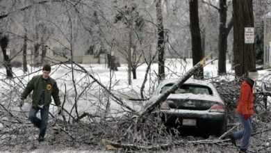 یخبندان شدید جنوب‌غرب انتاریو را فلج کرد؛ خسارات چند هفته‌ای و قطع گسترده برق