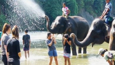 هشدار جدید دولت کانادا درباره سفر به اندونزی