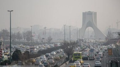 در روزهای آلوده هوا از خوردن این غذاها غافل نشوید! 48 در روزهای آلوده هوا از خوردن این غذاها غافل نشوید!