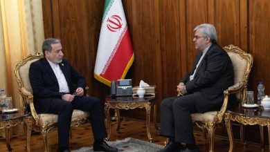 تاکید عراقچی بر اهمیت پیگیری مسائل مرتبط با ایرانیان مقیم امارات