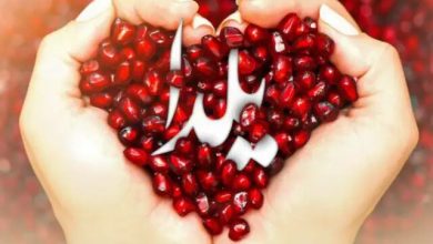 یلدا تمرین اجتماعی گفت‌ وگو و وفاق است