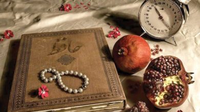 دیوانی برای زندگی نه استوری