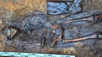 جسد زن لهستانی ۸۰ سال بعد از کشته شدن در جنگ جهانی در جنگل پیدا شد