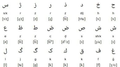 چینی‌ها هم فارسی می‌نوشتند!