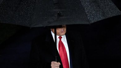 ترامپ در سرزمین عجایب