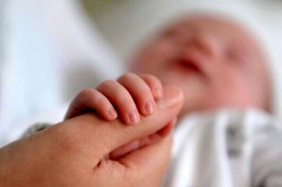 سقوط تعداد موالید با حفظ روند نزولی زاد و ولد