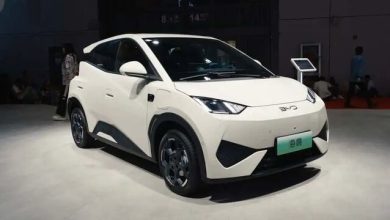 خودروهای برقی ارزان چینی در راه کانادا