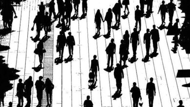 درباره جامعه "نیت" چه می دانیم؟ 39 درباره جامعه "نیت" چه می دانیم؟