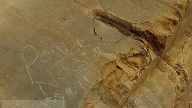 یادگاری تلخ پویا و نادیا برای تخت جمشید/ مشکل فقط یادگاری‌نویسی نیست