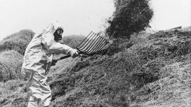 چرا پاک‌سازی چرنوبیل پایانی ندارد؟