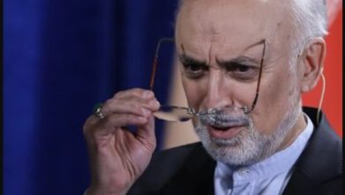 صالحی: بدون اعتماد جهانی هر روز تنهاتر می‌شویم!